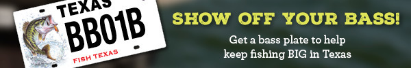 Show off your bass - get a bass plate