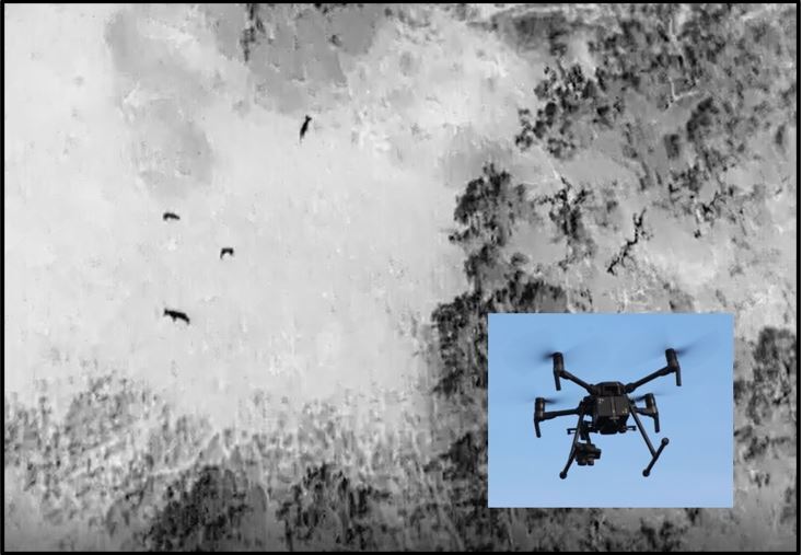 Drone with Imagery Example