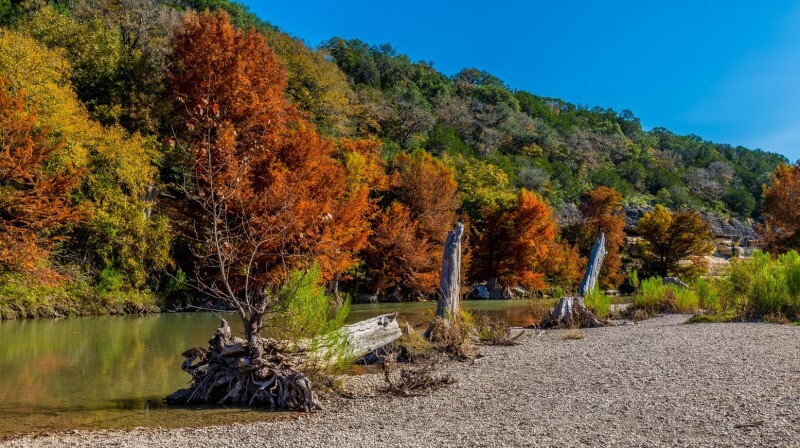 Fall color along Guadalupe River, link 