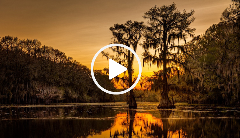 Caddo Lake at sunrise, video link