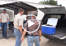 3 people at CWD checkstation, video link