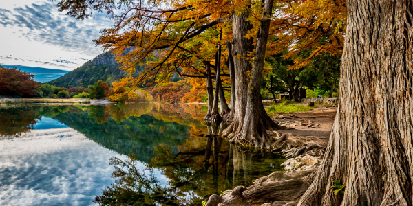 Fall foliage at Garner State Park.