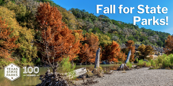 Image of Guadalupe State Park in the fall.