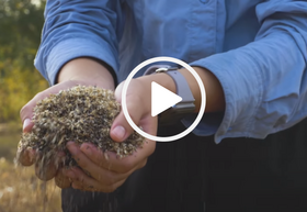 Hands holding seeds, video link