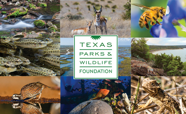 Texas Parks & Wildlife Foundation