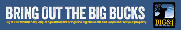 Bring out the big bucks ad, linked