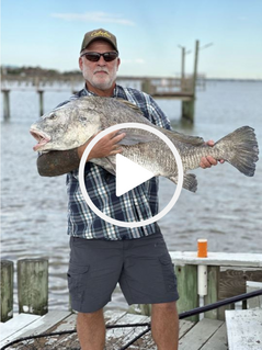 Angler with large black drum. video link