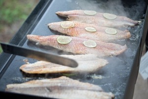 Fish cooking on a griddle