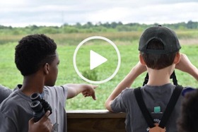2 boys birdwatching, video link