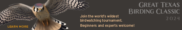 Join the Great Texas Birding Classic, with link
