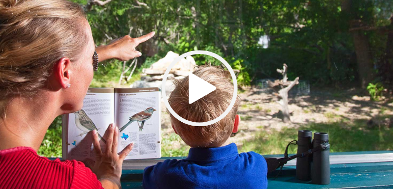 boy and mom in bird blind, video link