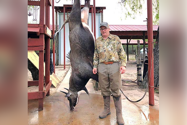 Nilgai Antelope Safari winner with his harvest.