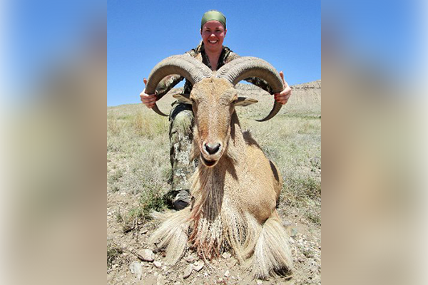 Whitney Chaney with her aoudad harvest.