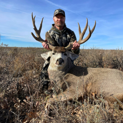 Ultimate Mule Deer