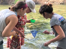 G2G teachers macro sampling