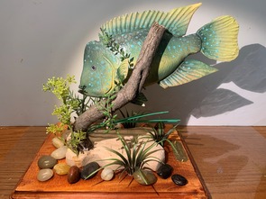 Picture of a carved Rio Grande Cichlid