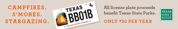 license plate of tent with campfire, benefits Tx State Parks, with link