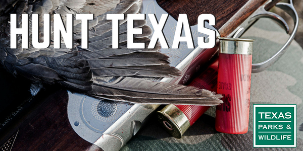 dove hunting still life image - header for Hunt Texas