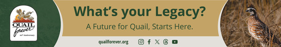 Quail Forever ad with link