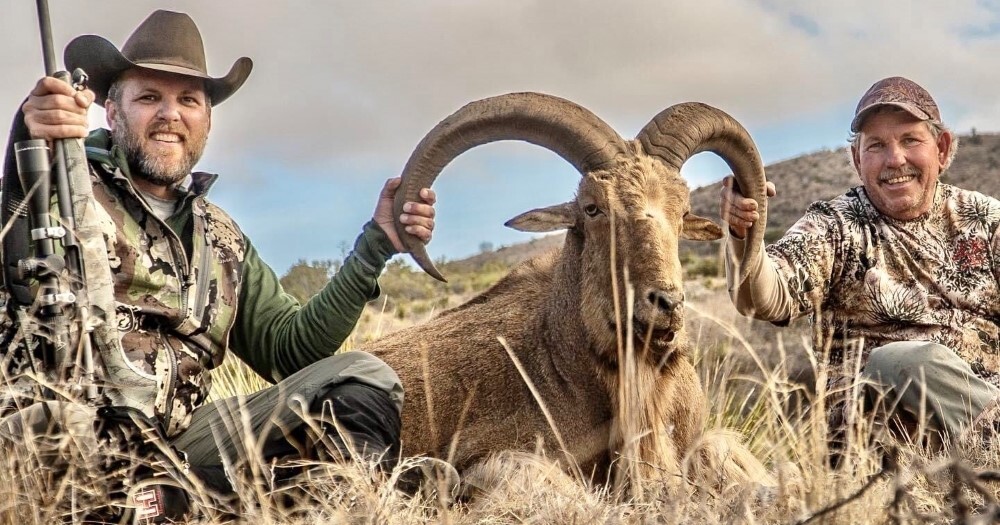 two hunters with aoudad harvest