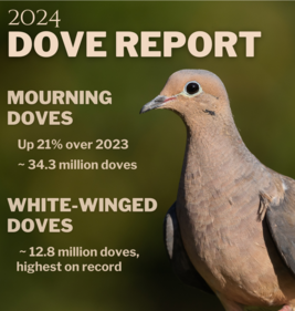 dove