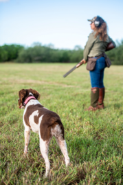 Female dove hunter and dog