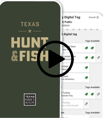 My Texas Hunt and Fish, video link