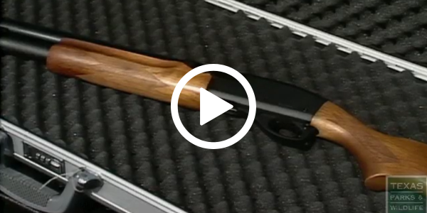 Shotgun storage video.