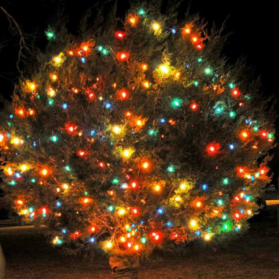 Tree at the LBJ visitor center decorated with lights.