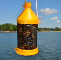 Hanging yellow bait holder