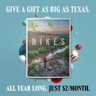 TPW Magazine Holiday Offer