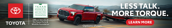 Toyota Tundra ad with link