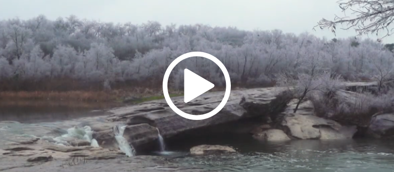 McKinney Falls with iced trees, video link 