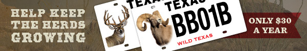 Big Horn Sheep + Whitetail conservation license plates, with link 