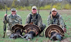 3 hunters with turkey harvests