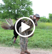 Girl holding turkey harvest, with video link