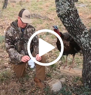 man fills out tag, with video link