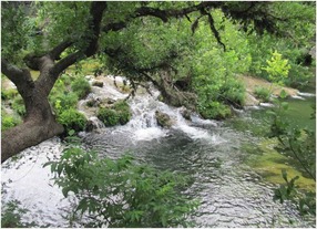 Healthy Riparian Area
