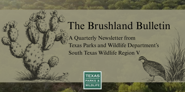 The Brushland Bulletin