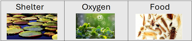 Elements of Good Habitat