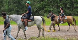 youth on horses