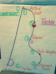 Picture of tackle placement