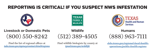 Reporting New World Screwworm