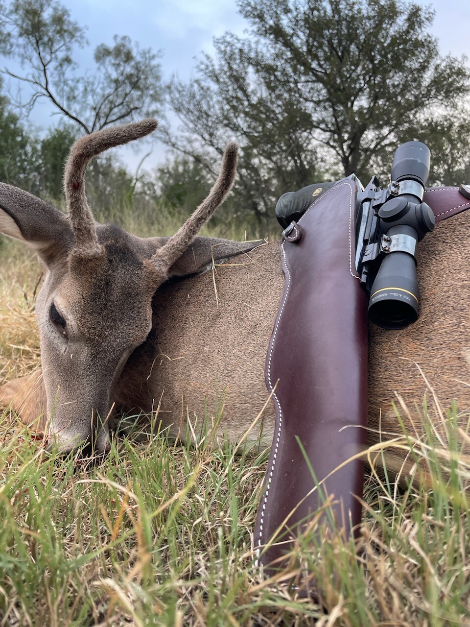 Felled deer with pistol in the foreground