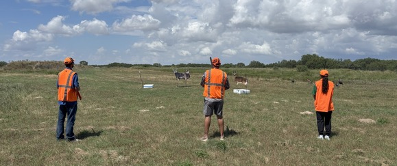 Instructor candidates practice outside with inert firearms and deer targets