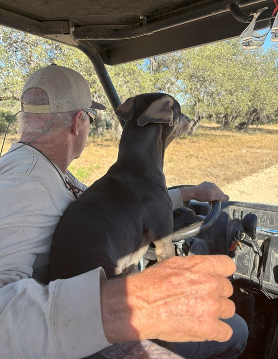 Man riding with dog in ATV