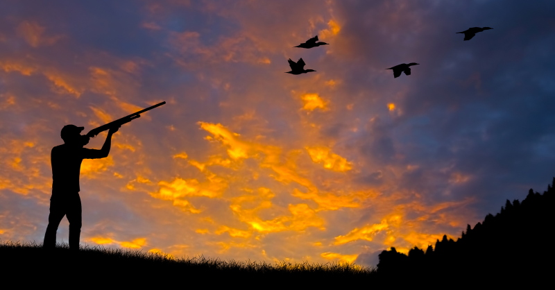 Waterfowl hunter silhouette at sunrise 