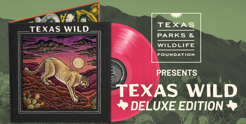 Texas Wild album ad, with link