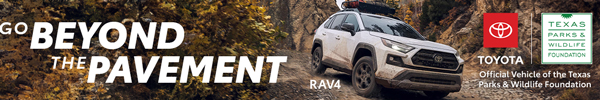 Toyota Rav4 ad with link 2025