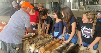 Kids looking at different animal pelts